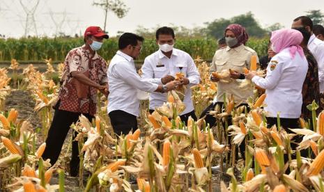 Menteri Pertanian Syahrul Yasin Limpo (Mentan SYL) pada acara panen jagung nusantara di Desa Banjarsari, Kecamatan Kradenan, Kabupaten Grobogan.