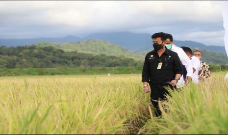  Menteri Pertanian Syahrul  Yasin Limpo menyatakan bahwa realisasi produksi sejumlah komoditas pangan utama pada tahun 2020 mengalami peningkatan.