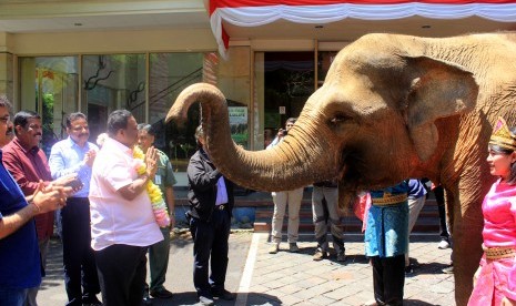 Menteri Senior Kehutanan India, Mr. Dindigul C Sreenivaasan  mengunjungi Taman Safari Bogor, Sabtu (31/8/2019).