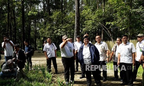  Menteri Siti Nurbaya yang didampingi Kepala Dinas Kehutanan Sumatra Selatan (Sumsel) Pandji Tjahjanto meninjau hutan kota Punti Kayu, Palembang, Rabu (21/11).