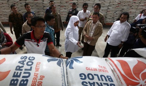 Menteri Sosial Khofifah Indar Parawansa (tengah) mengecek persedian beras untuk memenuhi kebutuhan logistik pengungsi korban bencana gempa Pidie Jaya di Gudang Bulog, Aceh Besar, Aceh, Jumat (9/12).