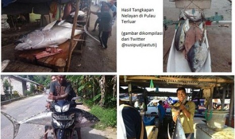 menteri susi pamer hasil tangkapan nelayan 