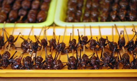 Menurut sebuah studi baru dalam European Journal of Clinical Nutrition ulat, jangkrik, cacing, lebah, dan binatang kecil lain lebih bergizi dibandingkan dengan sepotong daging steak atau ayam.