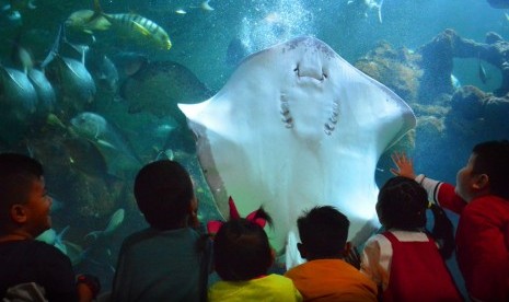 Menyambut liburan sekolah, Ancol menggelar Camping Under the Sea.