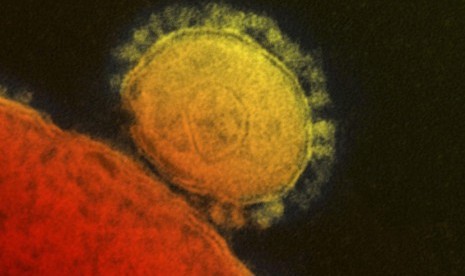 MERS-CoV (Middle East Respiratory Syndrome-Corona Virus).