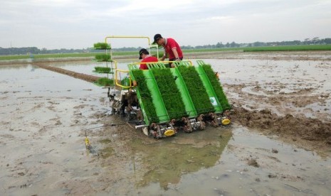 Mesin pemotong padi jajar legowo.