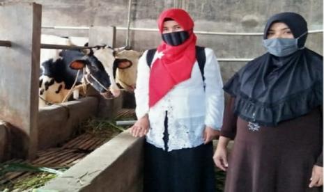 Meski pandemi Covid-19 masih berlangsung secara global, hal ini tidak menghalangi aktivitas pertanian serta peternakan di Kabupaten Malang, Provinsi Jawa Timur. Penyuluh di sana tetap menyuluh dan mendampingi peternak dengan semangat.