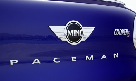 Mini Paceman