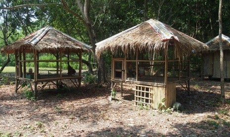 Mini Zoo di Tanjung Lesung