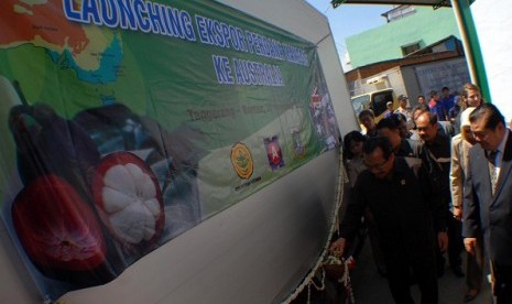 Minister of Agriculture Suswono launches the first export of mangosteen from Banten in Indonesia to Australia, this week. It tooks six years before the export negotiation finally fruitful. 