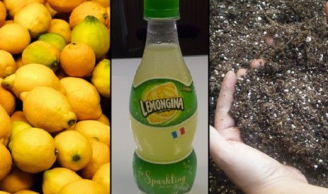 Minuman ini disinyalir memiliki rasa seperti kotoran