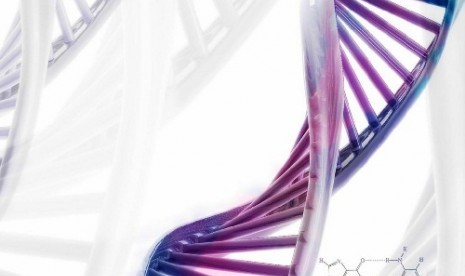 Mitokondria DNA (ilustrasi)