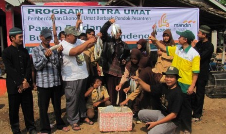 mitra laznas bsm panen perdana ikan bandeng