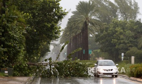  Mobil melintas di pohon yang tumbang akibat Badai Irma, di Pantai Emas, Florida, (9/9).        