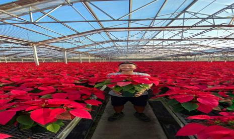 Mohamad Yusril Ramadhan, alumnus IPB University magang hortikultura di Amerika Serikat dan Belanda.