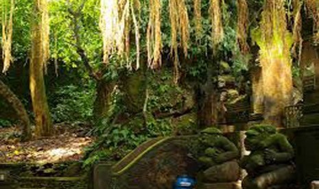 Monkey Forest, Ubud Bali