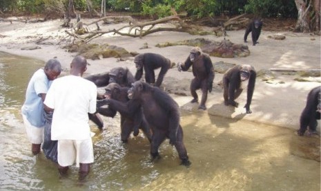 Monkey Island, Liberia