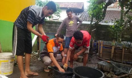 Muhammad Solikhun nampak sumringah melihat kolam lele yang ia budidayakan bersama anggotanya. Ketua Kelompok ternak Lele binaan Rumah Zakat ini sangat gembira dengan hasil panen yang didapatkannya.