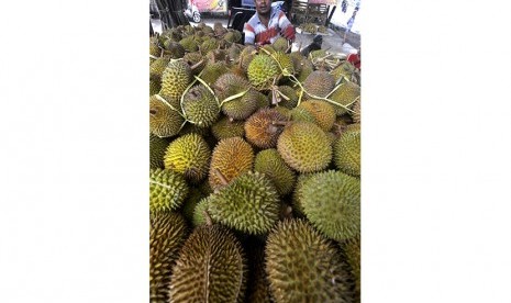 Musim Durian