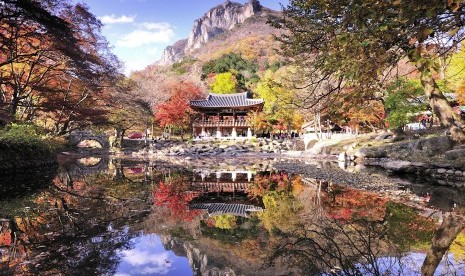 Musim gugur tak hanya indah dilihat di Seoul. Pemandangan kolam di Pegunungan Naejangsan di luar Kota Jeongeup, di Provinsi Jeolla Utara, Korsel, tak kalah indahnya di musim gugur.