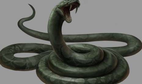 Nagini, ular Voldemort.