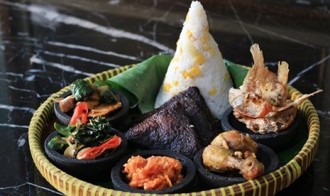 Nasi Gerilya