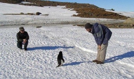 Near the coast in Antarctica, December looks fairly temperate. (File photo)