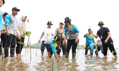 Nelayan dan warga tanam pohon mangrove di pesisir pantai (ilustrasi) 