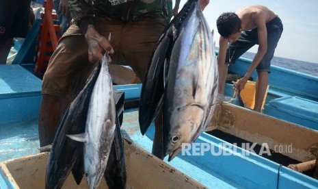 Nelayan memancing ikan cakalang dengan menggunakan teknik tradisional Huhate (pole and line).