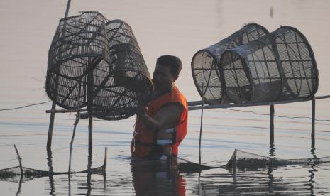 Nelayan memasang bubu udang di perairan Desa Mangunan, Pamekasan, Jawa Timur, Sabtu (5/9/2020). Kementerian Kelautan dan Perikanan terus mendorong balai-balai di Indonesia untuk memproduksi induk udang unggul guna mencapai target ekspor udang nasional hingga 250 persen pada tahun 2024.