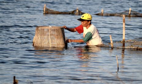 Nelayan memasang bubu udang di perairan Desa Mangunan, Pamekasan, Jawa Timur, Sabtu (5/9/2020). Kementerian Kelautan dan Perikanan terus mendorong balai-balai di Indonesia untuk memproduksi induk udang unggul guna mencapai target ekspor udang nasional hingga 250 persen pada tahun 2024.