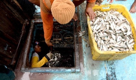 Nelayan membongkar muatan ikan di Pelabuhan Muara Angke, Jakarta Utara, Ahad (13/12).  (Republika/Wihdan)