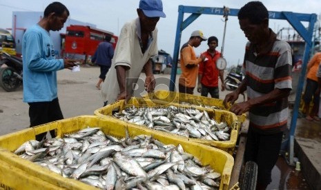 Nelayan membongkar muatan ikan di Pelabuhan Muara Angke, Jakarta Utara.  (Republika/Wihdan)