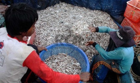  Nelayan memindahkan hasil tangkapan ikan teri di Kalimenir, Indramayu, Senin (5/8).  (Republika/ Yasin Habibi)