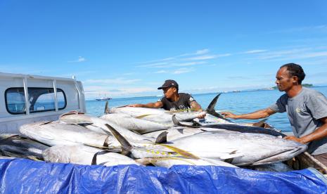 Nelayan menaikkan ikan yang telah disortir ke atas bak mobil di Tempat Pelelangan Ikan (TPI) Kota Sorong, Papua Barat, Rabu (8/9). PT Perikanan Indonesia (Persero) atau Perindo memastikan suplai protein yang cukup untuk para atlet yang sedang bertanding dan berjuang di laga Pekan Olahraga Nasional ke-20 atau PON XX Papua 2021 yang digelar di empat wilayah yakni di Kota Jayapura, Kapupaten Jayapura, Kabupaten Mimika, dan Kabupaten Merauke. 