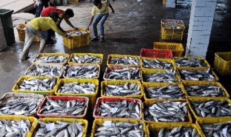 Nelayan menata keranjang ikan tangkapan di TPI Muara Angke, Jakarta.