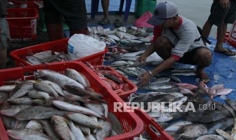 Ilustrasi hasil laut, ikan, siap diekspor.