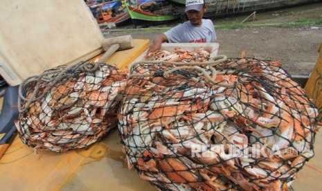 Nelayan mengumpulkan rajungan hasil tangkapan di Karangsong, Indramayu, Jawa Barat, Jumat (10/1/2010).