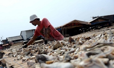 Nelayan menjemur ikan asin di kawasan Muara Angke, Jakarta Utara, Selasa (2/12).    (Republika/Wihdan)