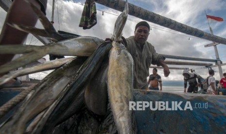 Nelayan menurunkan ikan hasil tangkapannya di Pelabuhan Pendaratan Ikan, Kabupaten Donggala, Sulawesi Tengah, Kamis (13/6/2019). Menurut nelayan setempat, hasil tangkapan ikan dalam seminggu terakhir cukup melimpah. 