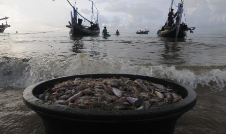 Harga Udang Ketak di Tanjung Jabung Barat Menurun Drastis (ilustrasi)