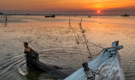 Nelayan pembudidaya karamba ikan kerapu menjaring ikan rucah. (Ilustrasi)