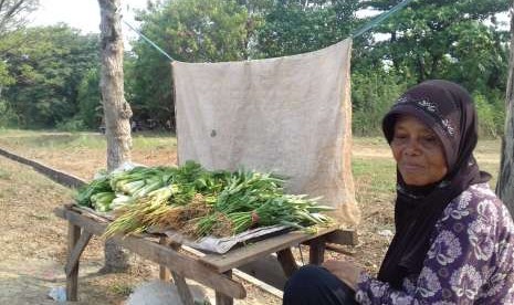 Nenek Diah, menjual sayuran hasil tanamannya sendiri, kawasan BKT, Jakarta Timur, Jumat (10/8).