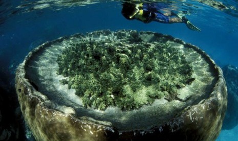 Ningaloo Reef, salah satu lokasi wisata alternatif di pesisir barat laut Australia barat.