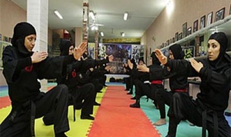 Ninjutsu Iran