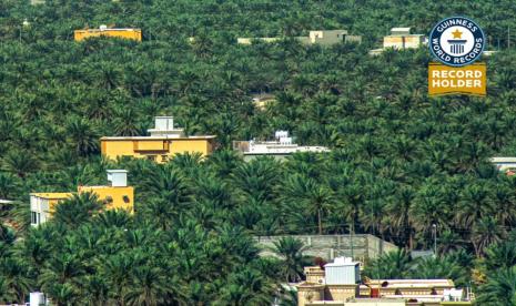 Oasis Terbesar di Dunia Bernama Al-Ahsa . Foto: Oasis Al Ahsa 