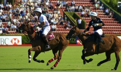 Olahraga Polo