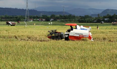 Operator memanen padi milik petani menggunakan mesin pemotong di area persawahan Bonto Manai, Kabupaten Gowa, Sulawesi Selatan, Selasa (25/10/2022). 