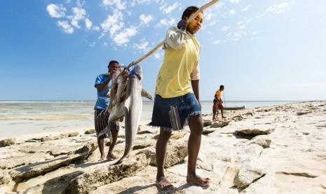 Orang tua nelayan di Madagaskar seringkali tidak mampu menyekolahkan anak mereka sehingga mereka ikut melaut memburu ikan hiu.