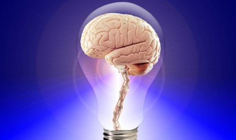 Cara Memperbaiki Otak Yang Rusak Kumpulan Cara Terbaru 2022